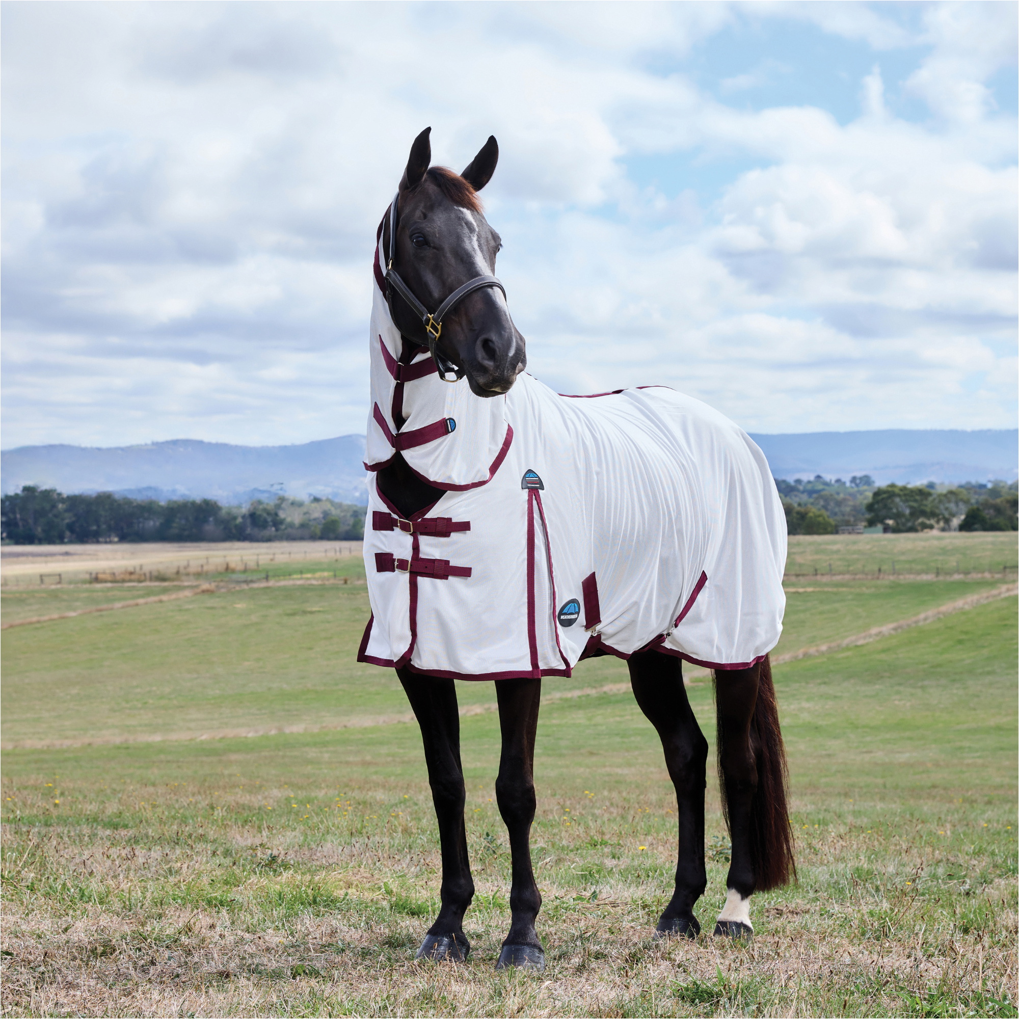 2026 WeatherBeeta Comfitec Essential Combo Fly Sheet 1029542001 - White / Burgunderrot